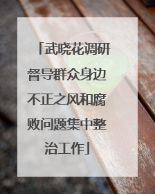 武晓花调研督导群众身边不正之风和腐败问题集中整治工作
