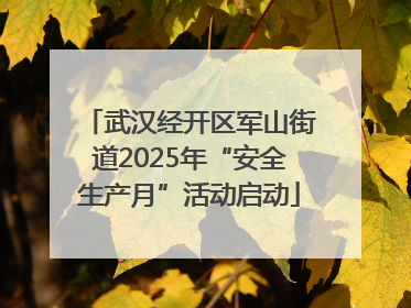 武汉经开区军山街道2025年“安全生产月”活动启动