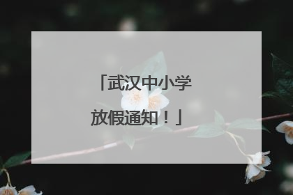 武汉中小学放假通知！