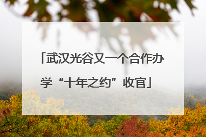 武汉光谷又一个合作办学“十年之约”收官