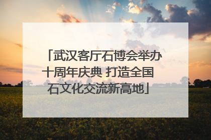 武汉客厅石博会举办十周年庆典 打造全国石文化交流新高地