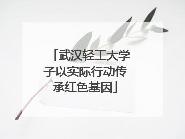 武汉轻工大学子以实际行动传承红色基因