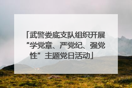 武警娄底支队组织开展“学党章、严党纪、强党性”主题党日活动