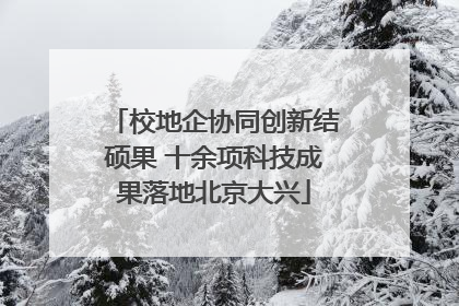 校地企协同创新结硕果 十余项科技成果落地北京大兴