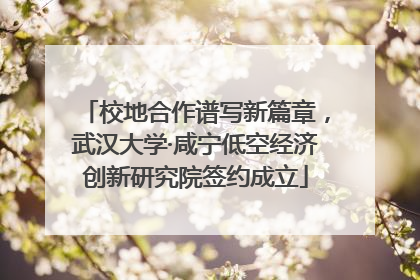 校地合作谱写新篇章，武汉大学·咸宁低空经济创新研究院签约成立