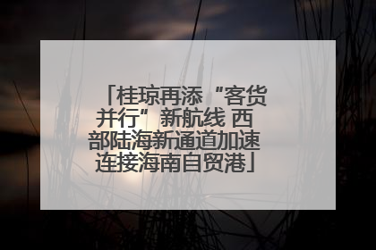 桂琼再添“客货并行”新航线 西部陆海新通道加速连接海南自贸港