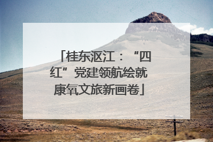 桂东沤江：“四红”党建领航绘就康氧文旅新画卷