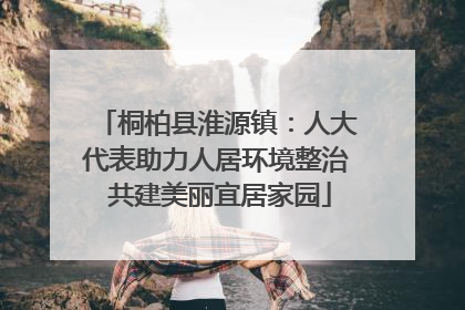 桐柏县淮源镇：人大代表助力人居环境整治 共建美丽宜居家园