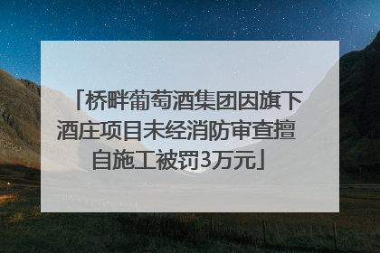 桥畔葡萄酒集团因旗下酒庄项目未经消防审查擅自施工被罚3万元