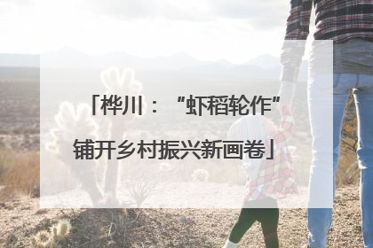 桦川：“虾稻轮作”铺开乡村振兴新画卷