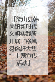 梁山县韩岗镇新时代文明实践所开展“移风易俗赶大集”主题宣传活动
