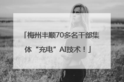 梅州丰顺70多名干部集体“充电”AI技术！