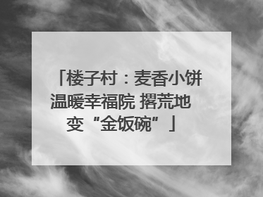 楼子村：麦香小饼温暖幸福院 撂荒地变“金饭碗”
