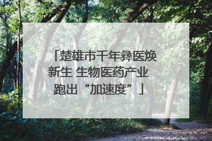 楚雄市千年彝医焕新生 生物医药产业跑出“加速度”