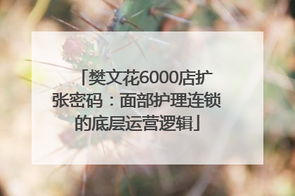樊文花6000店扩张密码：面部护理连锁的底层运营逻辑