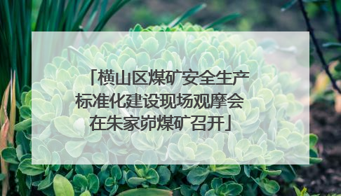 横山区煤矿安全生产标准化建设现场观摩会在朱家峁煤矿召开