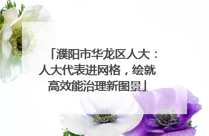 濮阳市华龙区人大：人大代表进网格，绘就高效能治理新图景