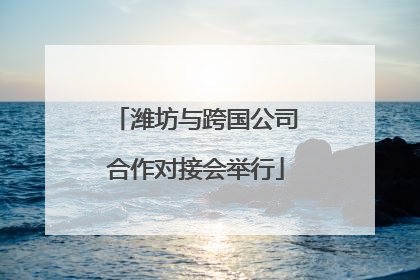 潍坊与跨国公司合作对接会举行