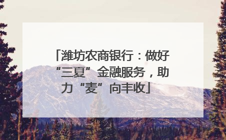 潍坊农商银行：做好“三夏”金融服务，助力“麦”向丰收