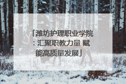 潍坊护理职业学院：汇聚职教力量 赋能高质量发展