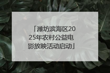 潍坊滨海区2025年农村公益电影放映活动启动