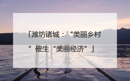 潍坊诸城：“美丽乡村”催生“美丽经济”