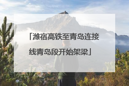 潍宿高铁至青岛连接线青岛段开始架梁