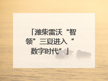 潍柴雷沃“智领”三夏进入“数字时代”