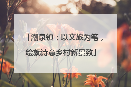 潮泉镇：以文旅为笔，绘就诗意乡村新景致