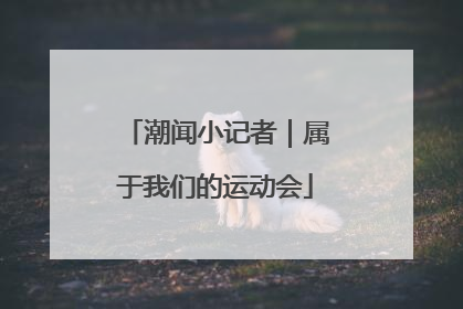 潮闻小记者｜属于我们的运动会