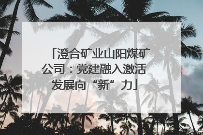 澄合矿业山阳煤矿公司：党建融入激活发展向“新”力