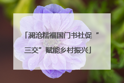 澜沧糯福国门书社促“三交”赋能乡村振兴