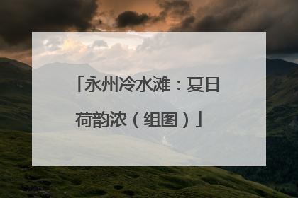 永州冷水滩：夏日荷韵浓（组图）