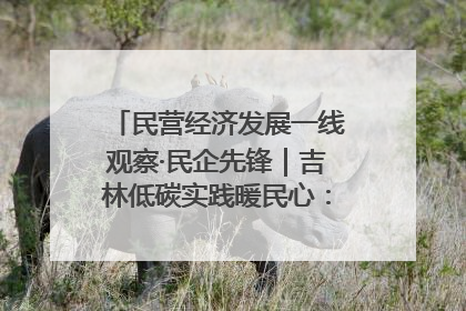 民营经济发展一线观察·民企先锋｜吉林低碳实践暖民心：太阳能供暖技术为北方清洁取暖破局