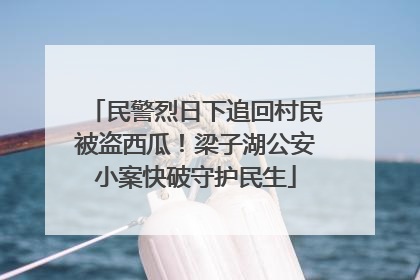 民警烈日下追回村民被盗西瓜！梁子湖公安小案快破守护民生