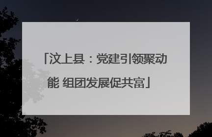 汶上县：党建引领聚动能 组团发展促共富