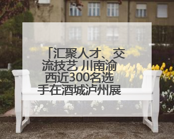 汇聚人才、交流技艺 川南渝西近300名选手在酒城泸州展开技能比拼
