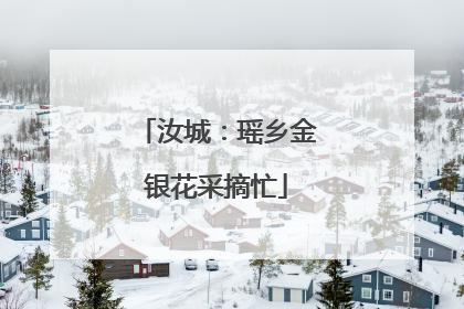 汝城：瑶乡金银花采摘忙