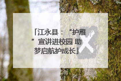 江永县：“护雁”宣讲进校园 助梦启航护成长