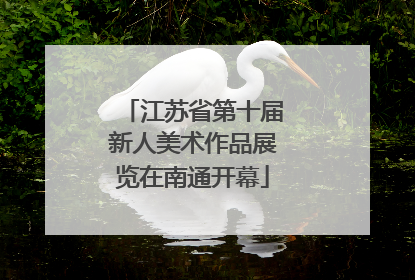 江苏省第十届新人美术作品展览在南通开幕