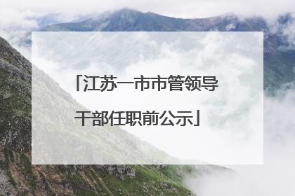 江苏一市市管领导干部任职前公示