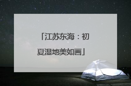 江苏东海：初夏湿地美如画