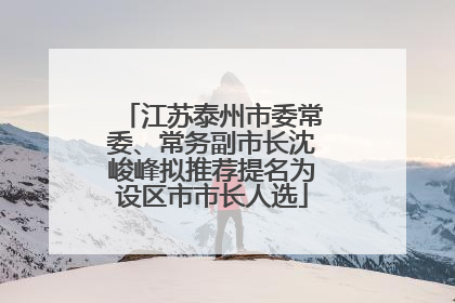 江苏泰州市委常委、常务副市长沈峻峰拟推荐提名为设区市市长人选