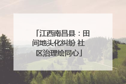 江西南昌县：田间地头化纠纷 社区治理绘同心