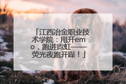 江西冶金职业技术学院：甩开emo，跑进霓虹——荧光夜跑开躁！