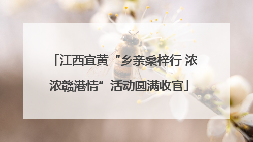 江西宜黄“乡亲桑梓行 浓浓赣港情”活动圆满收官