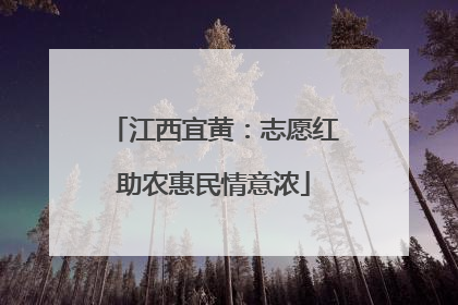 江西宜黄：志愿红助农惠民情意浓
