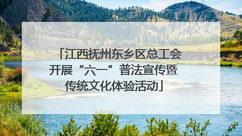 江西抚州东乡区总工会开展“六一”普法宣传暨传统文化体验活动