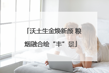 沃土生金焕新颜 粮烟融合绘“丰”景