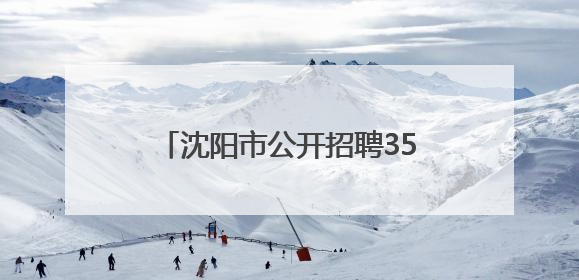 沈阳市公开招聘358名事业编制教师